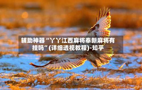 辅助神器“丫丫江西麻将奉新麻将有挂吗	”(详细透视教程)-知乎-第1张图片