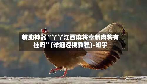 辅助神器“丫丫江西麻将奉新麻将有挂吗”(详细透视教程)-知乎-第3张图片