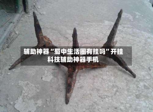 辅助神器“蜀中生活圈有挂吗	”开挂科技辅助神器手机-第2张图片