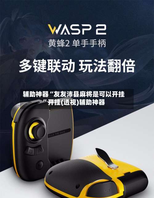 辅助神器“友友沛县麻将是可以开挂”开挂(透视)辅助神器-第3张图片