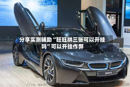 分享实测辅助“旺旺拼三张可以开挂吗”可以开挂作弊-第3张图片