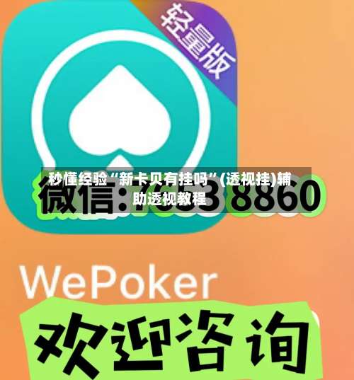 秒懂经验“新卡贝有挂吗”(透视挂)辅助透视教程-第2张图片