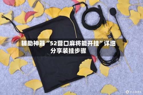 辅助神器“52营口麻将能开挂	”详细分享装挂步骤-第2张图片