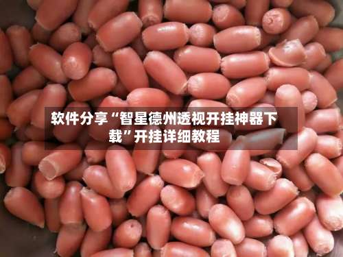 软件分享“智星德州透视开挂神器下载”开挂详细教程-第3张图片