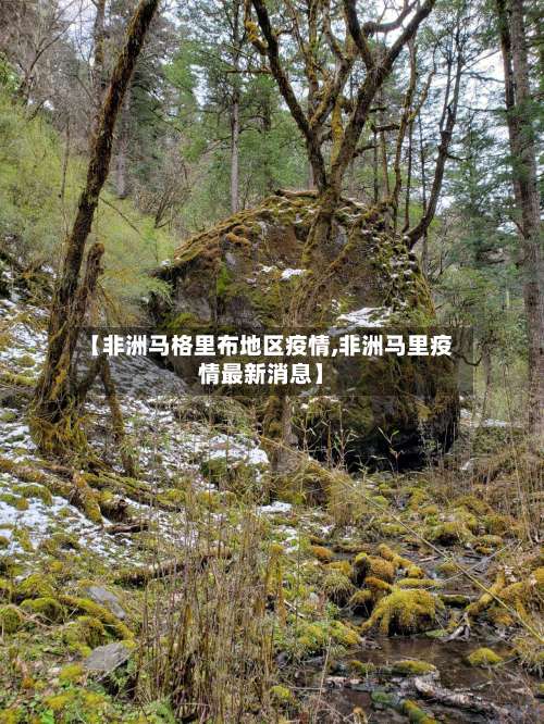 【非洲马格里布地区疫情,非洲马里疫情最新消息】-第1张图片