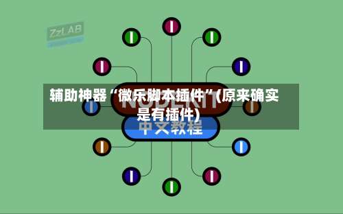 辅助神器“微乐脚本插件	”(原来确实是有插件)-第1张图片