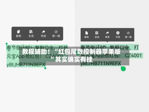 教程辅助！“红包尾数控制器苹果版”其实确实有挂-第2张图片