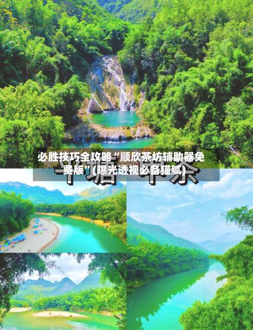 必胜技巧全攻略“顺欣茶坊辅助器免费版”(曝光透视必备猫腻)-第1张图片