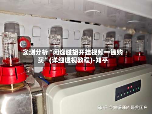 实测分析“闲逸碰胡开挂视频一键购买”(详细透视教程)-知乎-第2张图片