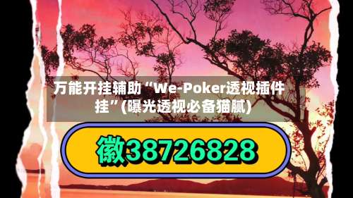 万能开挂辅助“We-Poker透视插件挂”(曝光透视必备猫腻)-第1张图片