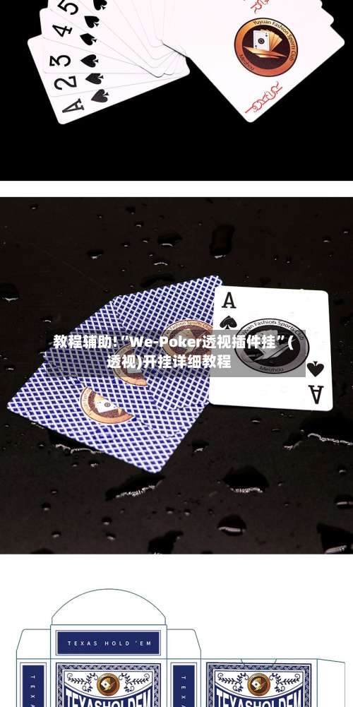教程辅助!“We-Poker透视插件挂”(透视)开挂详细教程-第1张图片