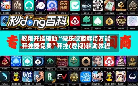 教程开挂辅助“微乐陕西麻将万能开挂器免费”开挂(透视)辅助教程-第1张图片