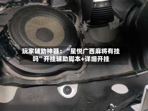 玩家辅助神器：“星悦广西麻将有挂吗”开挂辅助脚本+详细开挂-第3张图片