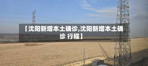 【沈阳新增本土确诊,沈阳新增本土确诊 行程】-第2张图片