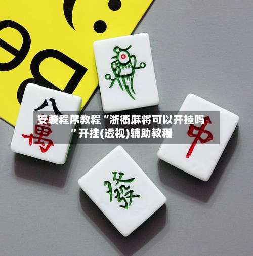 安装程序教程“浙衢麻将可以开挂吗”开挂(透视)辅助教程-第2张图片