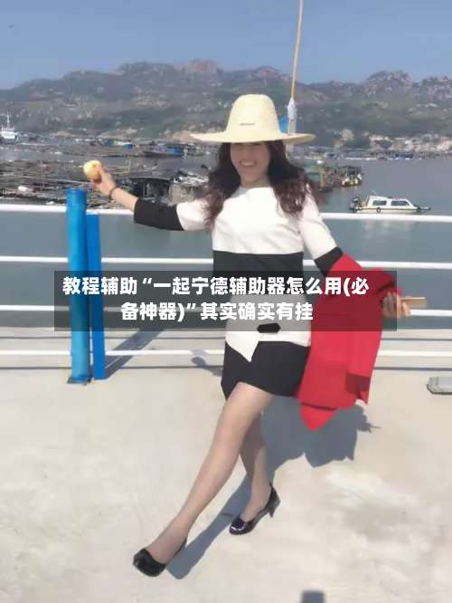 教程辅助“一起宁德辅助器怎么用(必备神器)	”其实确实有挂-第2张图片