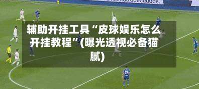 辅助开挂工具“皮球娱乐怎么开挂教程	”(曝光透视必备猫腻)-第1张图片