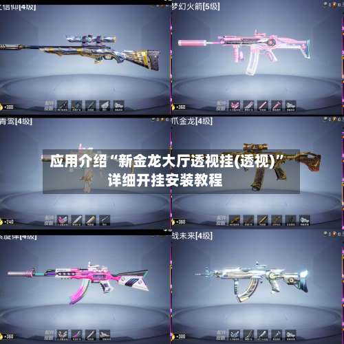 应用介绍“新金龙大厅透视挂(透视)”详细开挂安装教程-第1张图片