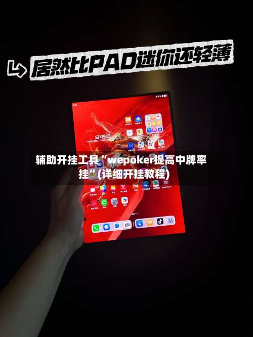 辅助开挂工具“wepoker提高中牌率挂”(详细开挂教程)-第3张图片