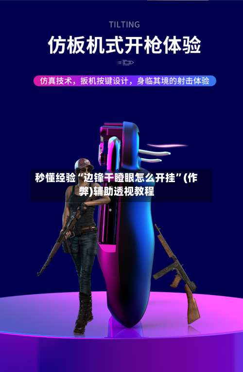 秒懂经验“边锋干瞪眼怎么开挂”(作弊)辅助透视教程-第2张图片