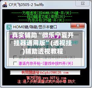 真实辅助“微乐宁夏开挂器通用版	”(透视挂)辅助透视教程-第2张图片