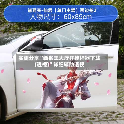 实测分享“新猴王大厅开挂神器下载(透视)	”详细辅助透视-第2张图片