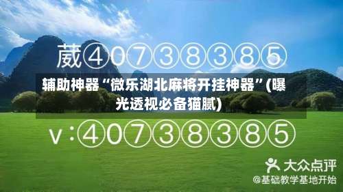 辅助神器“微乐湖北麻将开挂神器	”(曝光透视必备猫腻)-第2张图片