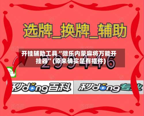 开挂辅助工具“微乐内蒙麻将万能开挂器	”(原来确实是有插件)-第2张图片