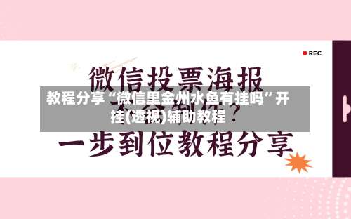 教程分享“微信里金州水鱼有挂吗	”开挂(透视)辅助教程-第3张图片