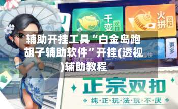 辅助开挂工具“白金岛跑胡子辅助软件”开挂(透视)辅助教程-第1张图片