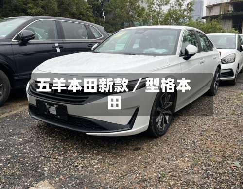五羊本田新款／型格本田-第1张图片