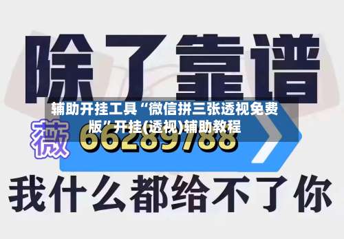 辅助开挂工具“微信拼三张透视免费版”开挂(透视)辅助教程-第2张图片