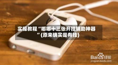 实操教程“嘟嘟十三张开挂辅助神器”(原来确实是有挂)-第2张图片