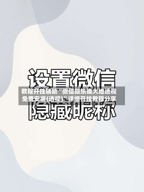 教程开挂辅助“微信微乐锄大地透视免费安装(透视)”详细开挂教程分享-第2张图片