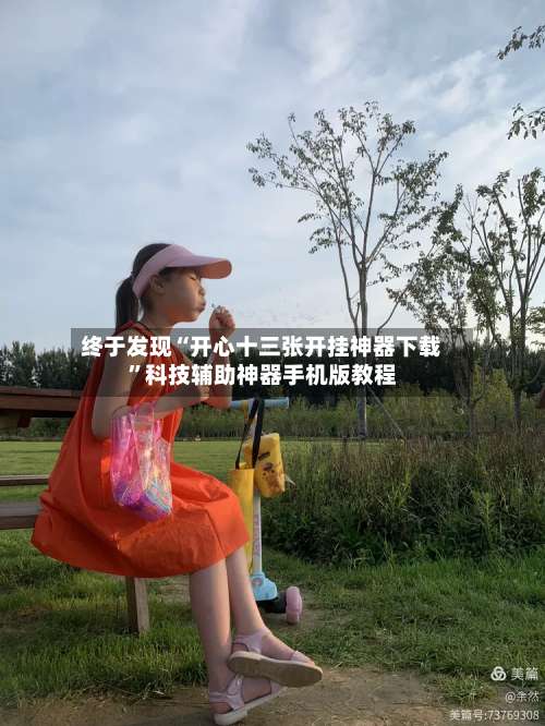 终于发现“开心十三张开挂神器下载	”科技辅助神器手机版教程-第1张图片