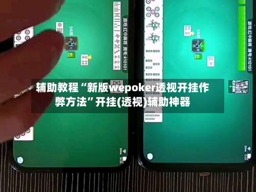 辅助教程“新版wepoker透视开挂作弊方法”开挂(透视)辅助神器-第2张图片