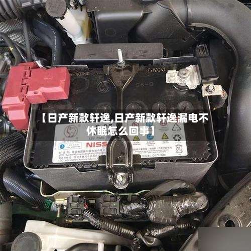 【日产新款轩逸,日产新款轩逸漏电不休眠怎么回事】-第3张图片