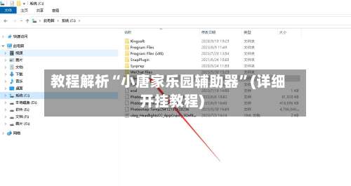 教程解析“小唐家乐园辅助器	”(详细开挂教程)-第2张图片