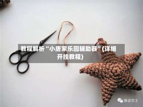 教程解析“小唐家乐园辅助器”(详细开挂教程)-第1张图片