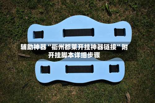 辅助神器“衢州都莱开挂神器链接”附开挂脚本详细步骤-第1张图片