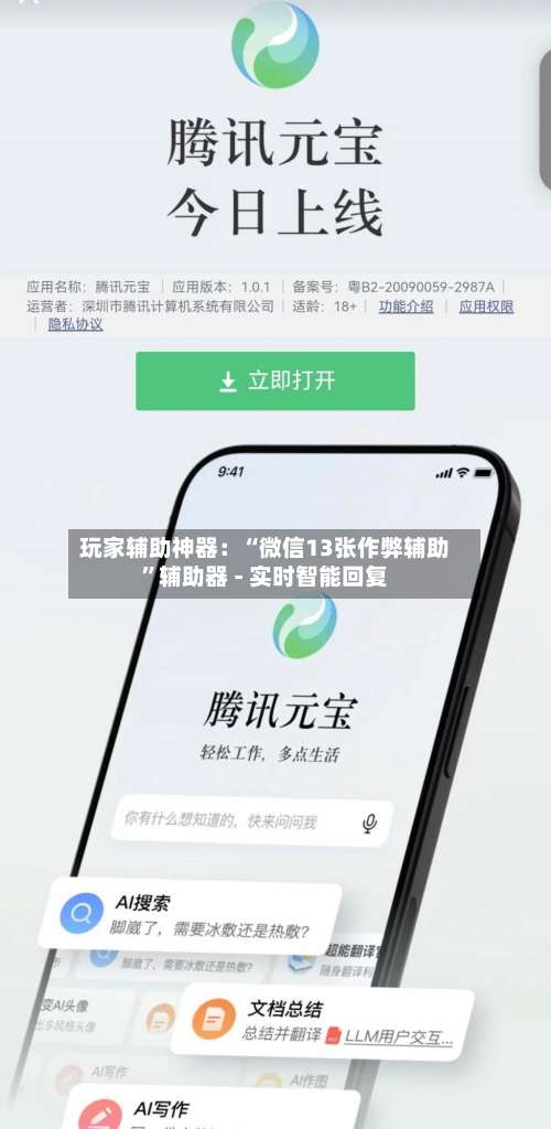 玩家辅助神器：“微信13张作弊辅助”辅助器 - 实时智能回复-第1张图片