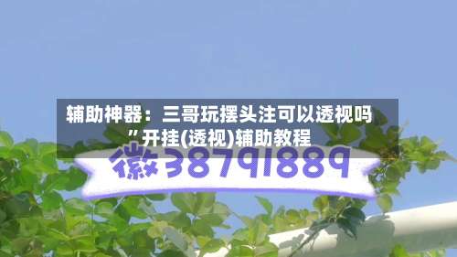 辅助神器：三哥玩摆头注可以透视吗”开挂(透视)辅助教程-第3张图片