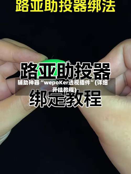 辅助神器“wepoKer透视插件”(详细开挂教程)-第2张图片