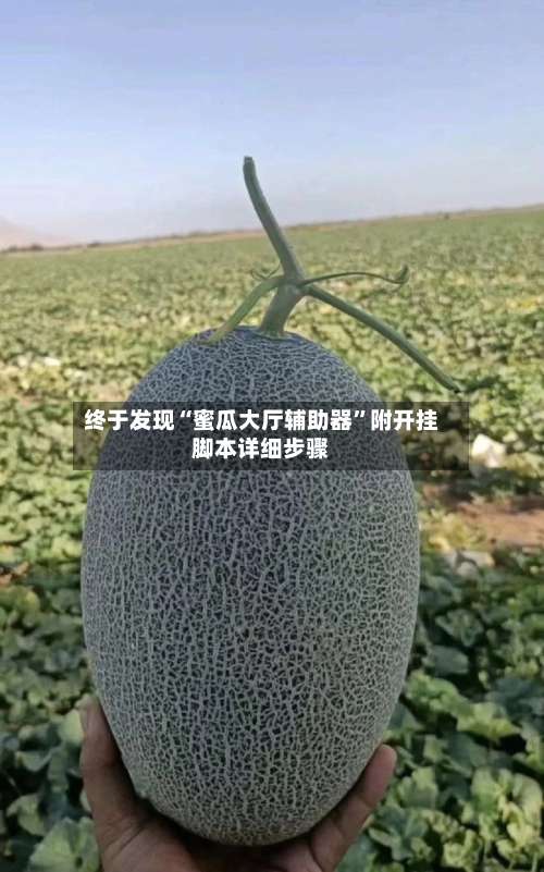 终于发现“蜜瓜大厅辅助器	”附开挂脚本详细步骤-第1张图片