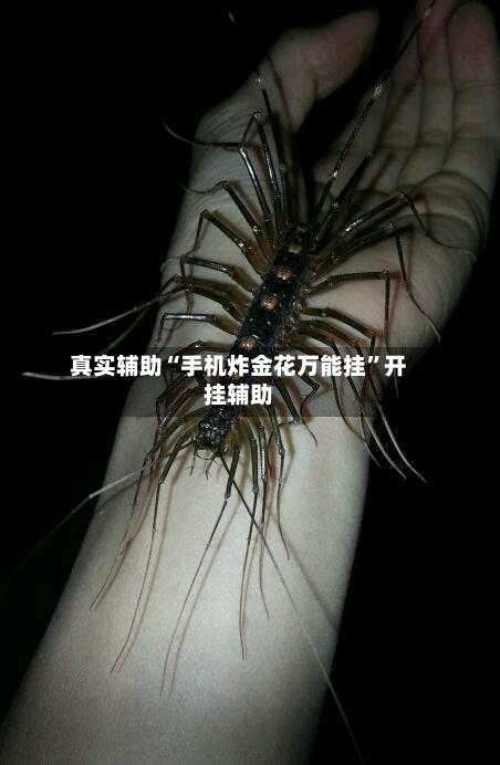 真实辅助“手机炸金花万能挂	”开挂辅助-第3张图片