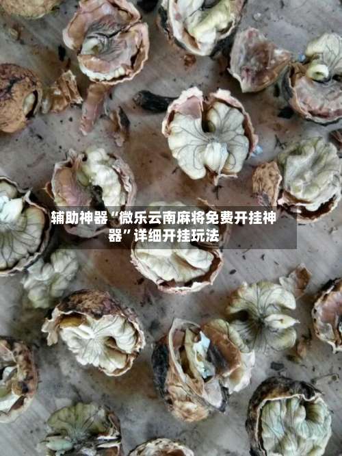 辅助神器“微乐云南麻将免费开挂神器”详细开挂玩法-第3张图片