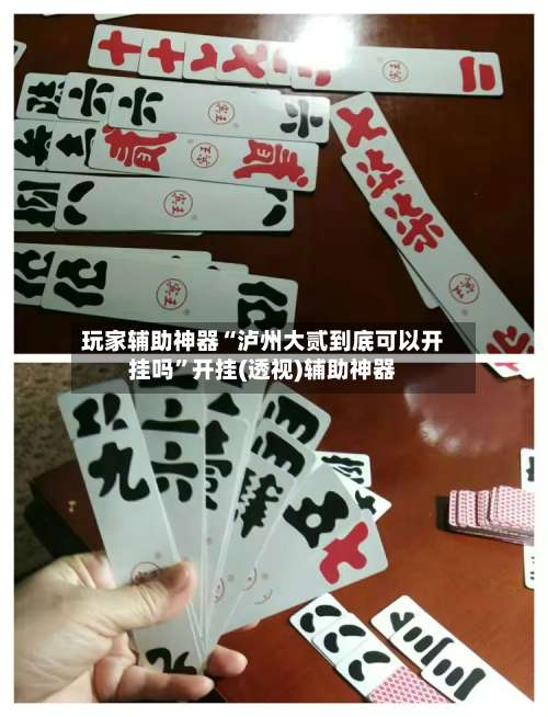 玩家辅助神器“泸州大贰到底可以开挂吗”开挂(透视)辅助神器-第1张图片