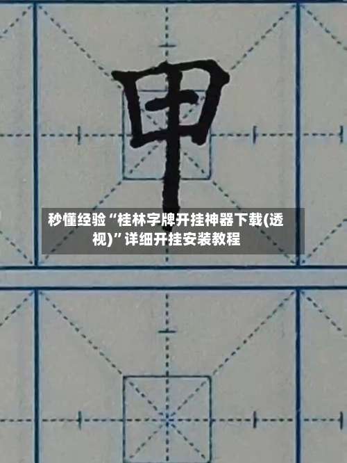 秒懂经验“桂林字牌开挂神器下载(透视)”详细开挂安装教程-第2张图片