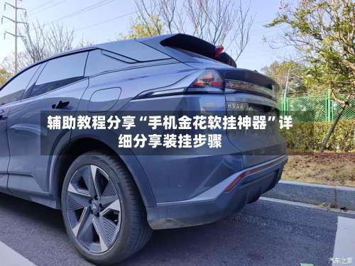 辅助教程分享“手机金花软挂神器”详细分享装挂步骤-第1张图片