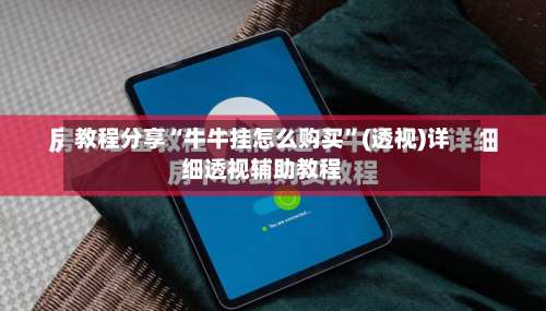 教程分享“牛牛挂怎么购买	”(透视)详细透视辅助教程-第2张图片